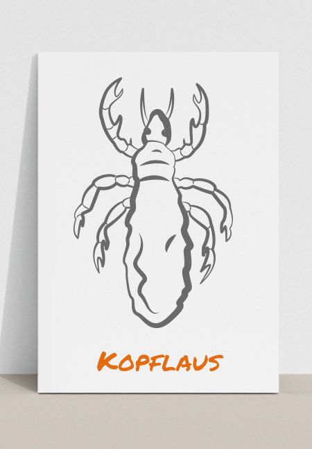 Zeichnung einer Kopflaus mit dem Schriftzug „Kopflaus“ in orange darunter.