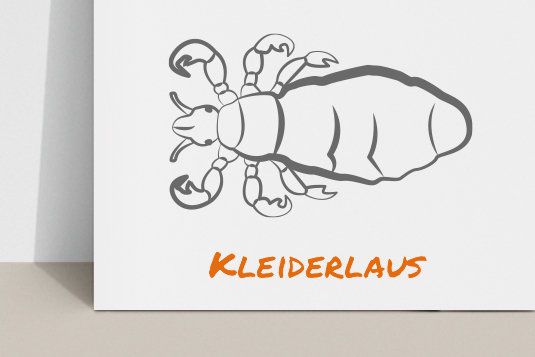 Zeichnung einer Kleiderlaus mit dem Schriftzug „Kleiderlaus“ in orange darunter.